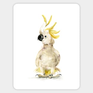 White parrot Sticker